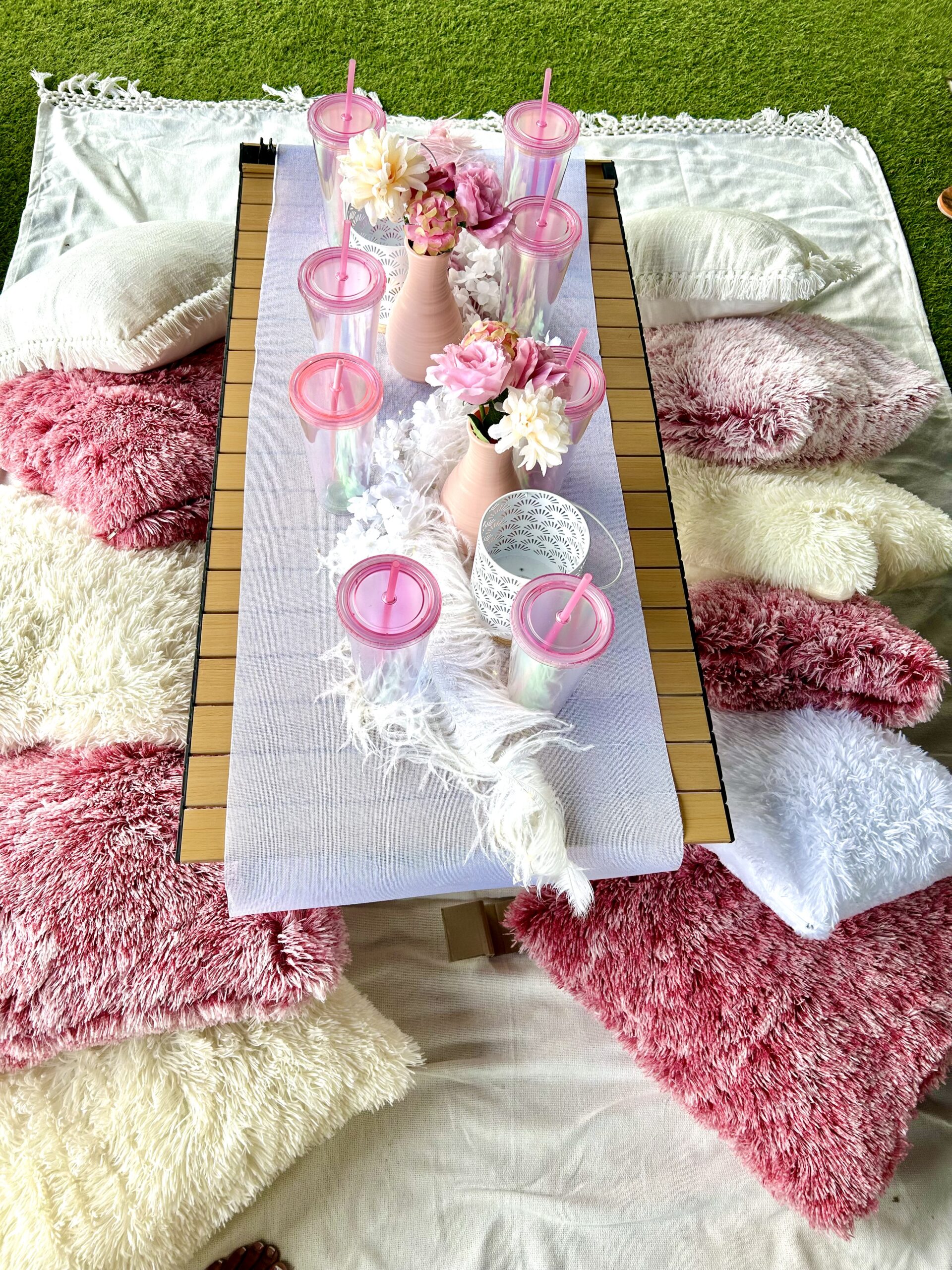 Picnic
